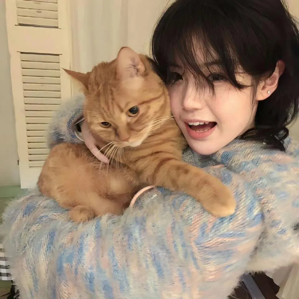 猛虎出笼